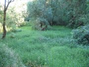 7.27.06 Oaks Bottom 007 